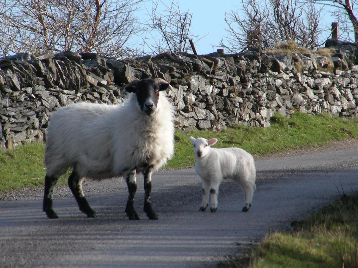Sunnybrae, Isle Of Luing Hotel Cullipool Eksteriør billede